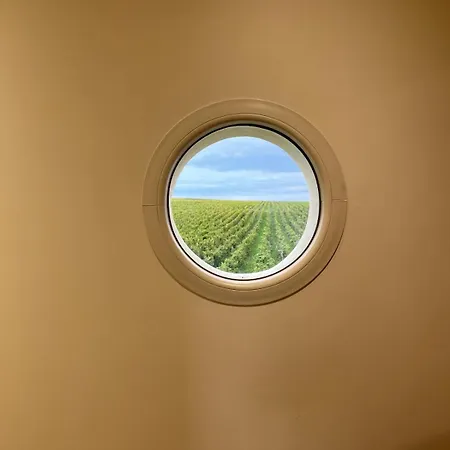 Climatise Avec Cour Privee Calme Et Vignobles 4 Pers Le Puy-Notre-Dame