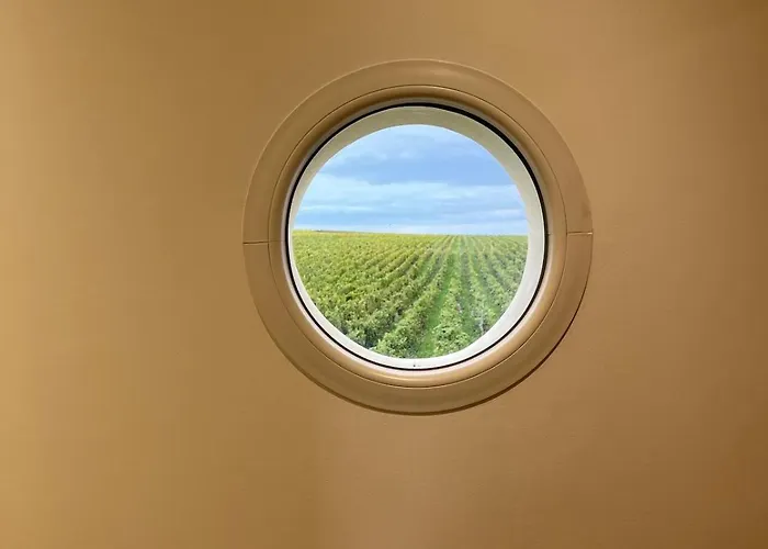 Maison Cosy Au Coeur Des Vignobles Le Roujou Le Puy-Notre-Dame